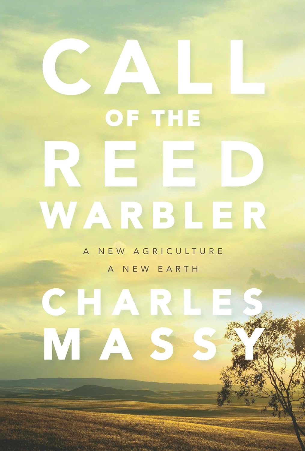 Charles Massy